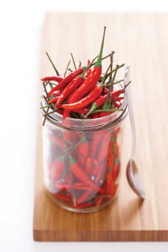 Vegetable Gardening for Beginners: Growing Tomatoes and Peppers